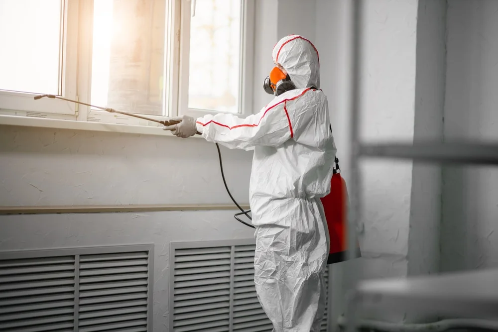 Professional mold remediation services in Saint Charles, MO